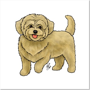 Dog - Maltipoo - Apricot Posters and Art